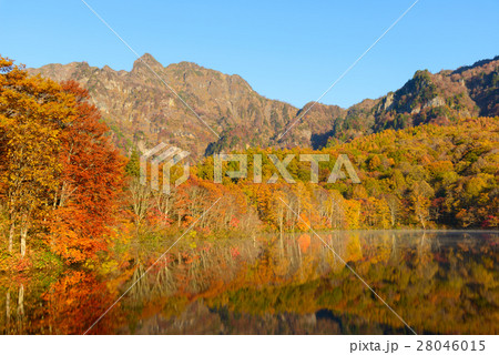 長野　戸隠高原　鏡池の紅葉 28046015