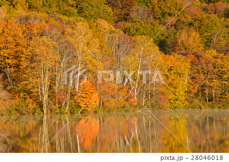 長野　戸隠高原　鏡池の紅葉 28046018
