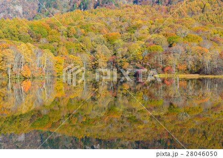 長野 戸隠高原 鏡池の紅葉の写真素材
