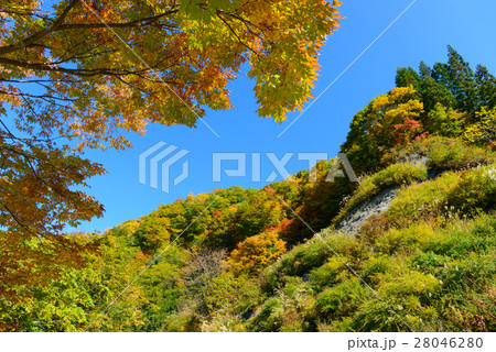 長野 鬼無里 奥裾花渓谷の紅葉 長野 鬼無里 奥裾花渓谷の紅葉 28046280
