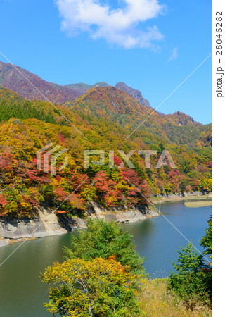 長野　鬼無里　奥裾花渓谷の紅葉 28046282