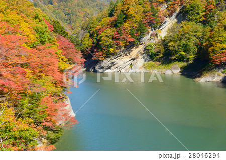長野　鬼無里　奥裾花渓谷の紅葉 28046294