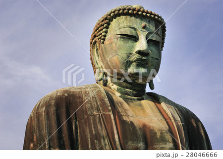 Buddha Head 28046666