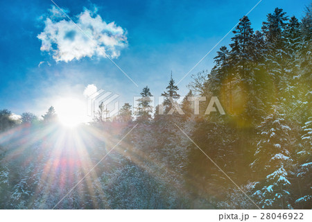 Sun rising from the mountain with forest 28046922