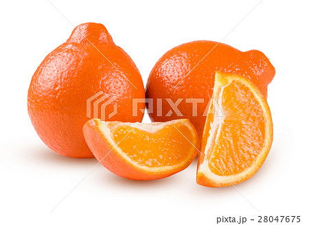 two orange tangerine or Mineola with slices 28047675
