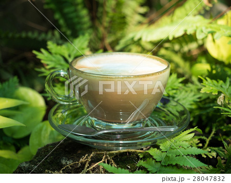 late coffee with garden background. late coffee with garden background. 28047832