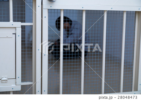 刑務所、留置所、犯罪、逮捕、保留、監獄、牢屋、拘束、犯人、牢獄、詐欺、捕まえる、警察、男性、日本人 28048473