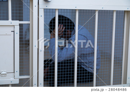 刑務所、留置所、犯罪、逮捕、保留、監獄、牢屋、拘束、犯人、牢獄、詐欺、捕まえる、警察、男性、日本人 刑務所、留置所、犯罪、逮捕、保留、監獄、牢屋、拘束、犯人、牢獄、詐欺、捕まえる、警察、男性、日本人 28048486