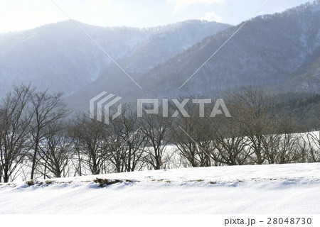 鬼首の雪景色・鳴子温泉鬼首（宮城県） 28048730