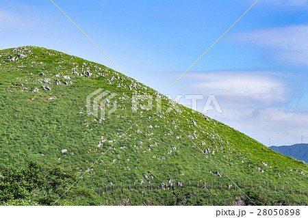 夏の秋吉台 夏の秋吉台 28050898