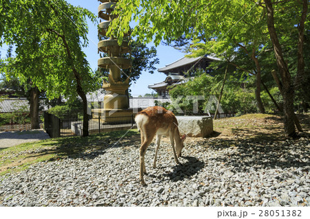 奈良県・東大寺・七重塔(東塔)の相輪 奈良県・東大寺・七重塔(東塔)の相輪 28051382
