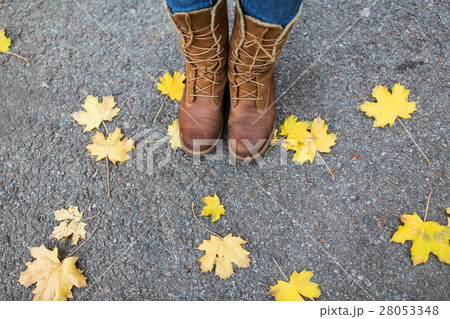 female feet in boots and autumn leaves 28053348