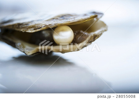 Pearl inside oyster shell 28055008