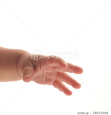 Hand of baby (6-11 months) on white background 28055089