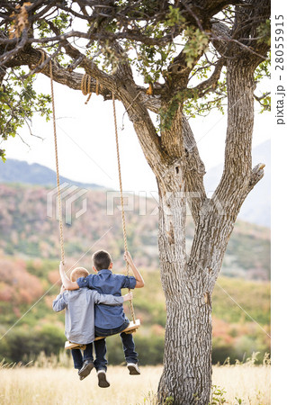 Two boys (4-5, 6-7) sitting on swing 28055915
