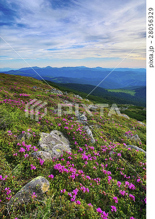 Ukraine, Ivano-Frankivsk region, Verkhovyna district, Carpathians, Chernohora, Mountain landscape on sunny day 28056329