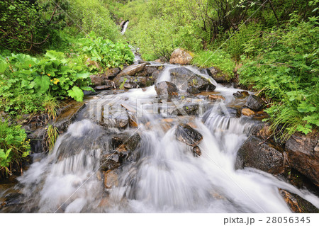Ukraine, Ivano-Frankivsk region, Verkhovyna district, Carpathians, Dzembronskie waterfalls 28056345