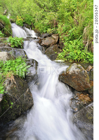 Ukraine, Ivano-Frankivsk region, Verkhovyna district, Carpathians, Dzembronskie waterfalls 28056347