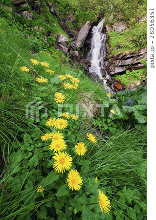Ukraine, Ivano-Frankivsk region, Verkhovyna district, Carpathians, Dzembronskie waterfalls Ukraine, Ivano-Frankivsk region, Verkhovyna district, Carpathians, Dzembronskie waterfalls 28056351