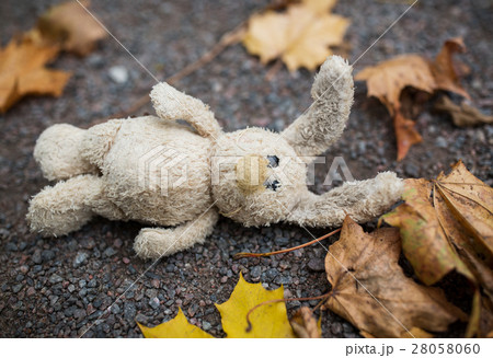 toy rabbit and autumn leaves on road or ground toy rabbit and autumn leaves on road or ground 28058060
