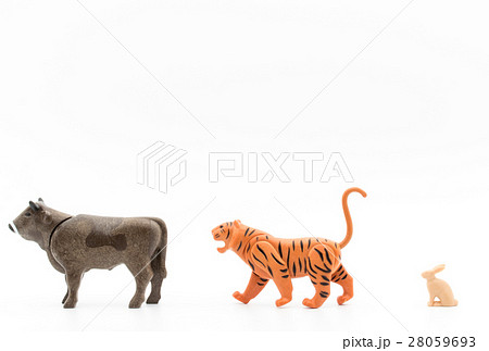 寅年(トラ) 寅年(トラ) 28059693