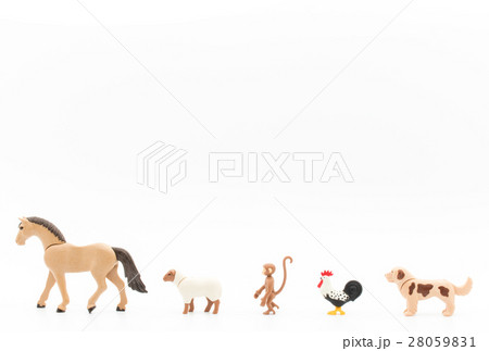 申年（サル） 28059831