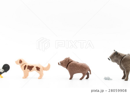 亥年(イノシシ) 亥年(イノシシ) 28059908