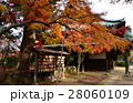 世田谷区　豪徳寺　仏殿（2016.11） 28060109