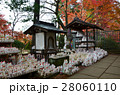 世田谷区　豪徳寺の招き猫（2016.11） 28060110