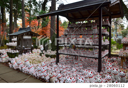 世田谷区　豪徳寺の招き猫（2016.11） 28060112