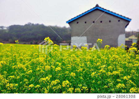 台湾 景色 風景 28061308