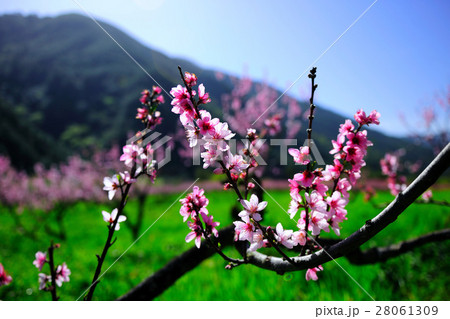 台湾 景色 風景 28061309
