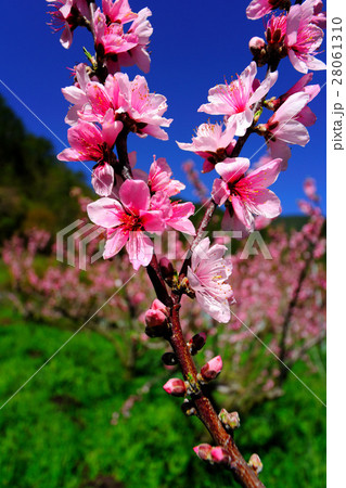 台湾 景色 風景 28061310