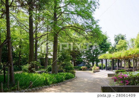 近松公園 28061409