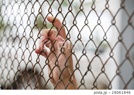 The hand holding steel mesh 28061846