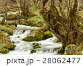 雪解けの渓流 28062477