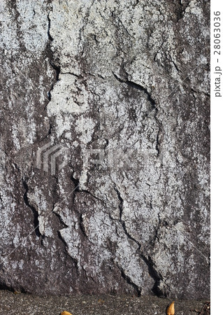荒い岩肌 28063036