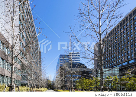 明治大学と帝京大学に挟まれた歩道 28063112