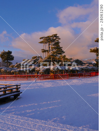 唐崎の松　朝焼け　雪景色 28063290
