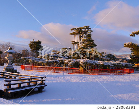 唐崎の松 朝焼け 雪景色 唐崎の松 朝焼け 雪景色 28063291