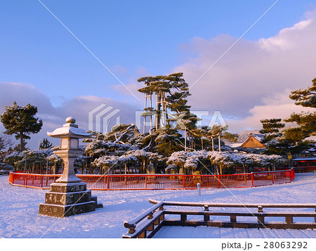 唐崎の松　朝焼け　雪景色 28063292
