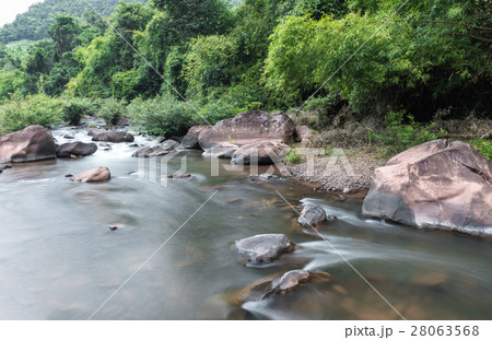 Mountain river flowing through the green forest. 28063568