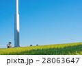 青空と芝生 28063647