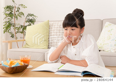 勉強する女の子 勉強する女の子 28064144