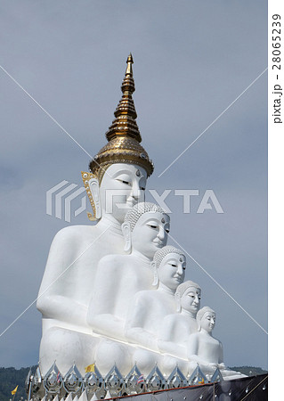 big buddha in Khao Kho thailand 28065239