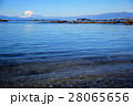 森と海岸からの富士と江ノ島 28065656