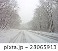 雪道 28065913