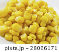 コーン02 28066171