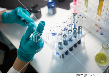 Lab technician carries chemical experiments 28066292