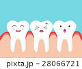Teeth icon character with red gum 28066721